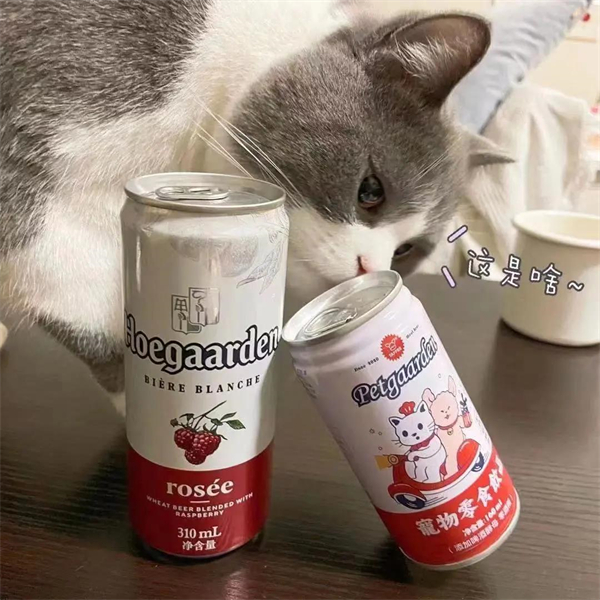 ballbet(й)ɭ